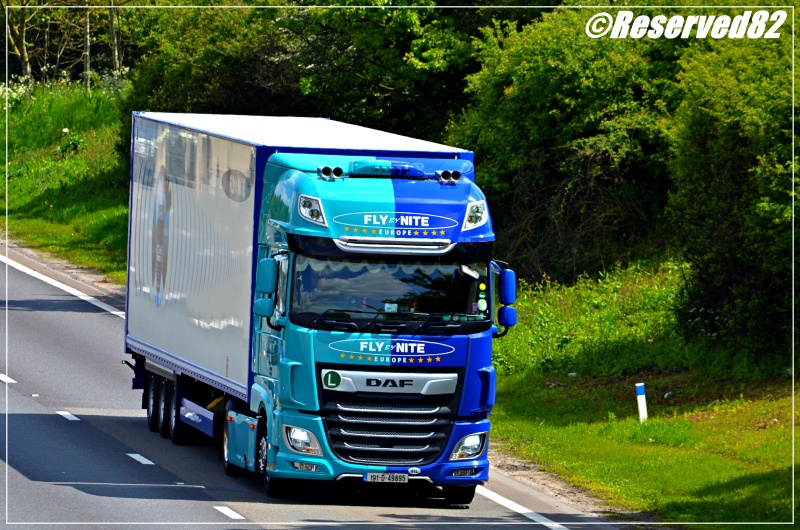 DSC_4028.JPG Fly 2.JPG