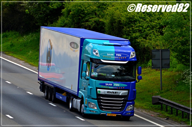 DSC_4410.JPG Fly 4.JPG