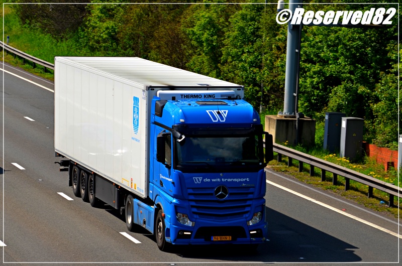 DSC_5003.JPG De Wit.JPG