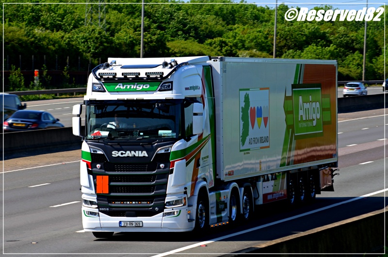 DSC_7197.JPG Amigo.JPG