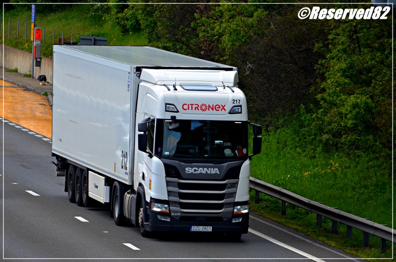 DSC_5679.JPG citronex.JPG