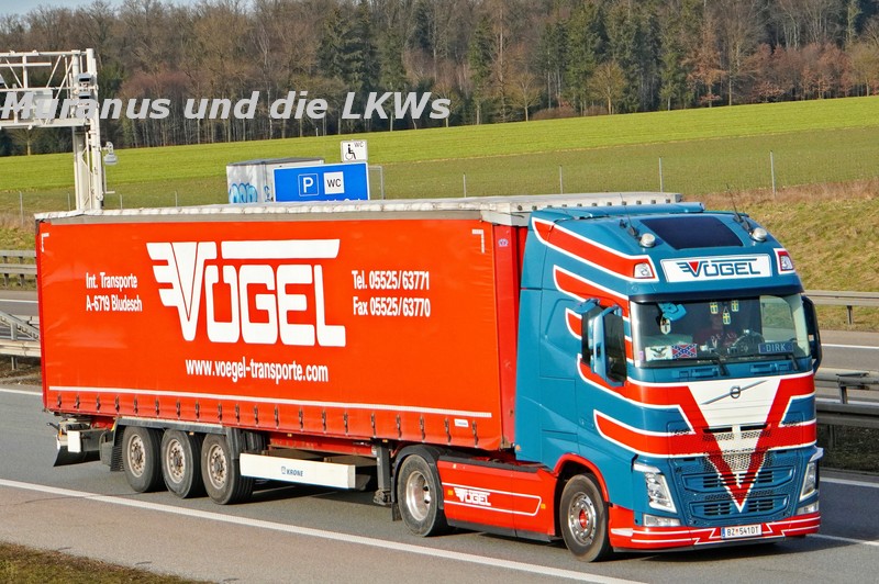 007_Volvo-FH--xxx-Vögel-Österreich_20210223_001.JPG