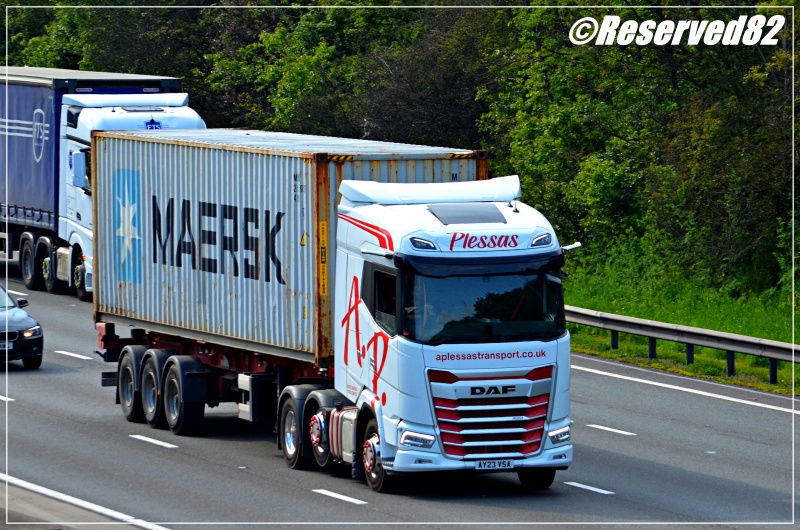 DSC_0817.JPG Plessas.JPG