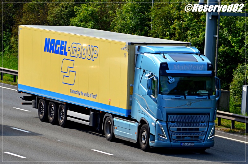 DSC_0847.JPG Mahlfeld.JPG