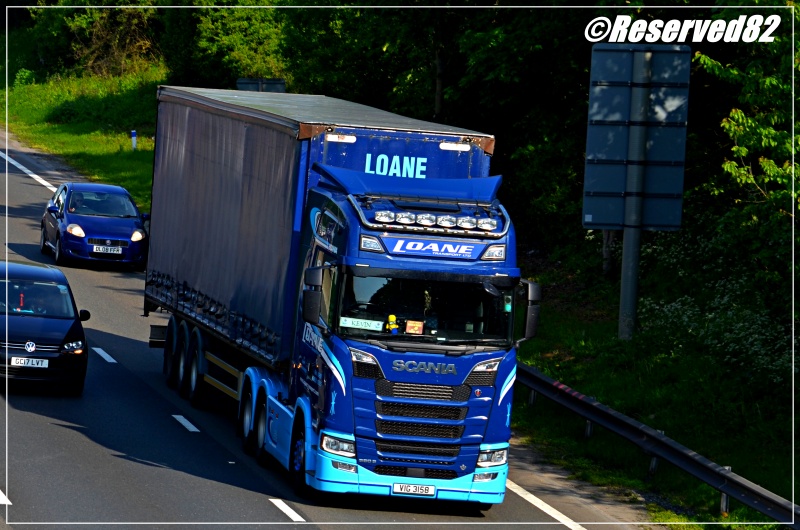 DSC_1370.JPG Loane.JPG