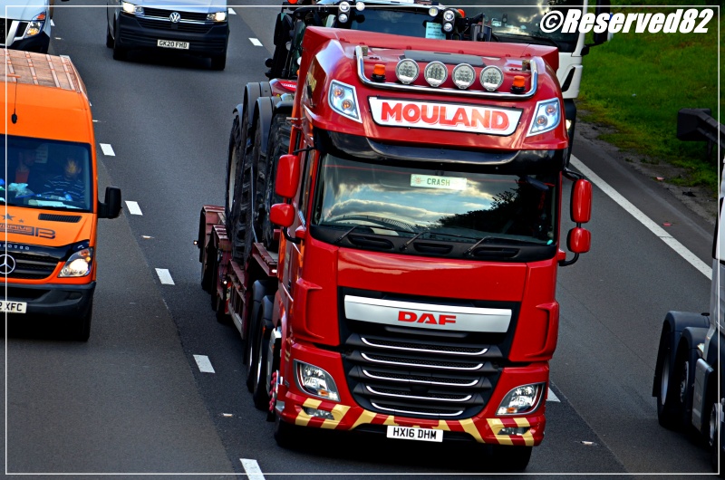 DSC_7270.JPG Mouland.JPG