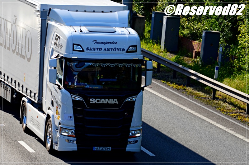 DSC_0992.JPG Santo.JPG