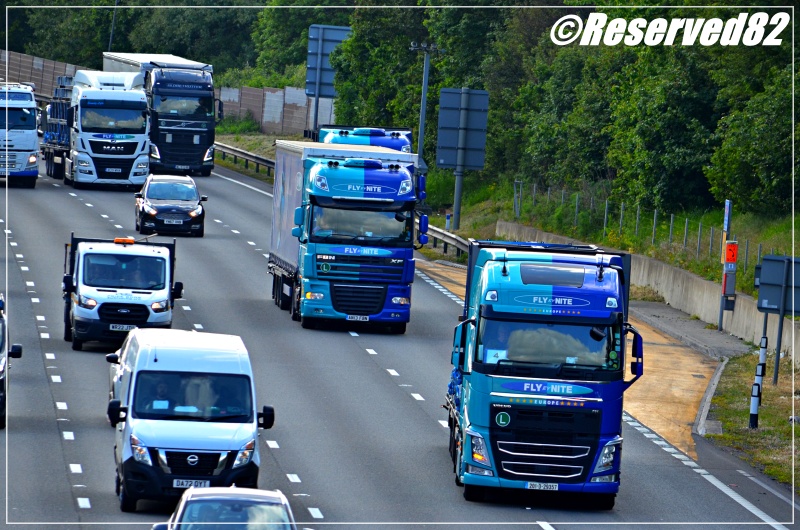 DSC_6009.JPG Fly by nite  25.JPG