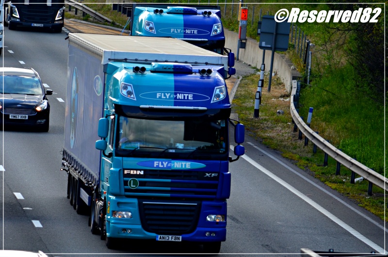 DSC_6020.JPG Fly by nite 25.JPG