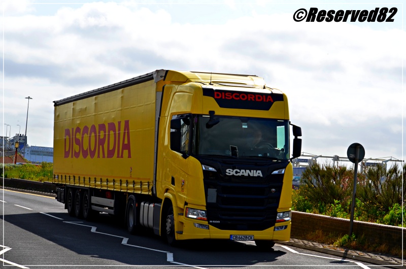 DSC_6404.JPG Discordia 5.JPG