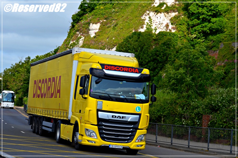 DSC_6109.JPG Discordia 3.JPG