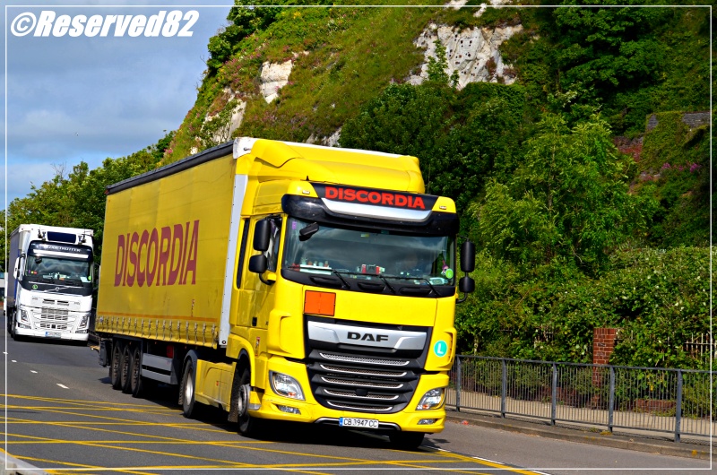 DSC_6086.JPG Dyscoria 2.JPG