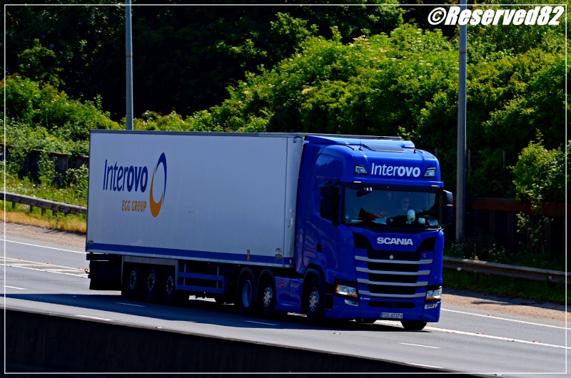 DSC_7226.JPG Interovo.JPG