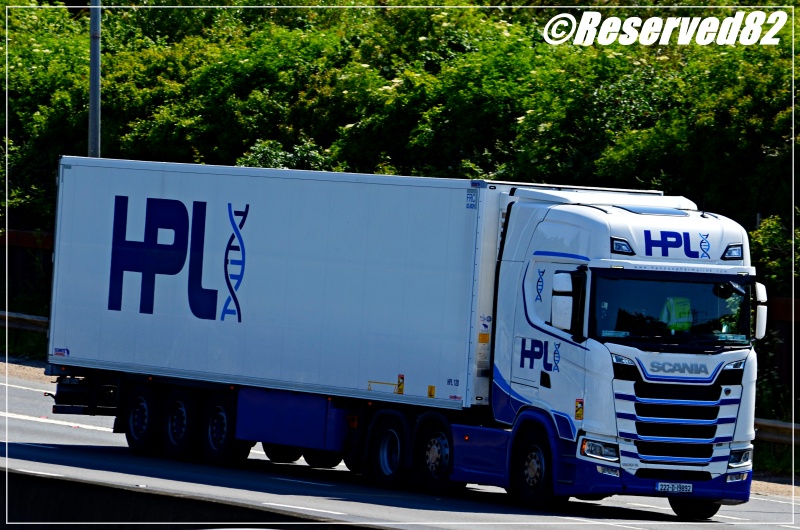 DSC_7699.JPG Hpl.JPG