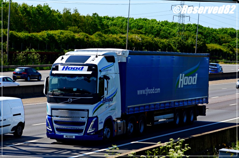 DSC_7881.JPG Hood.JPG