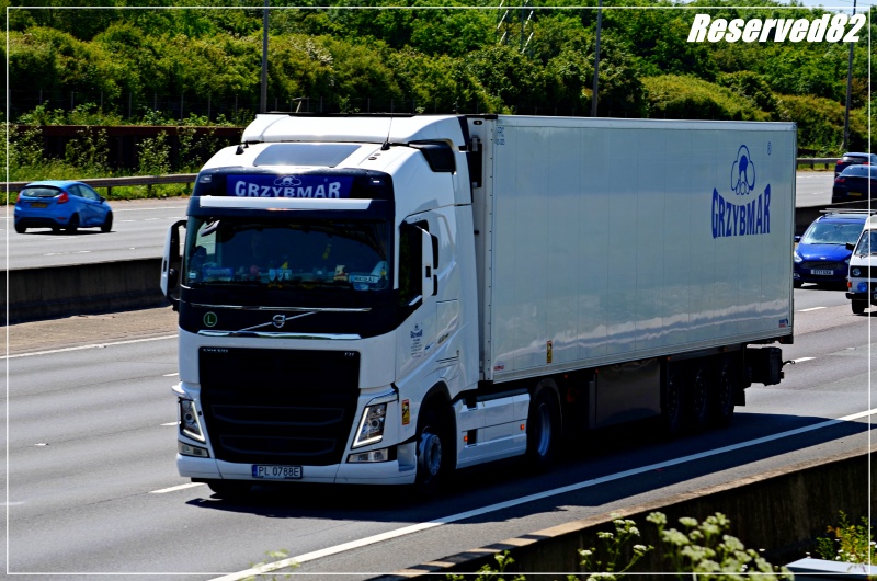 DSC_0033.JPG Grzybmar.JPG