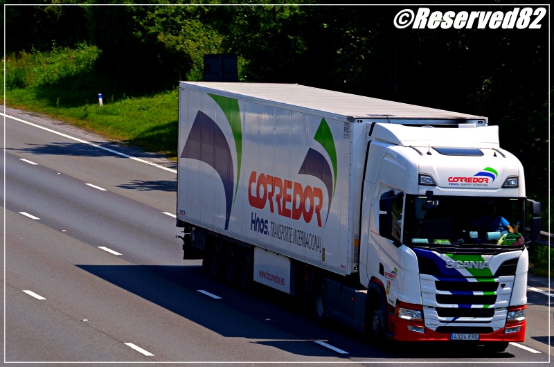 DSC_1277.JPG Corr.JPG