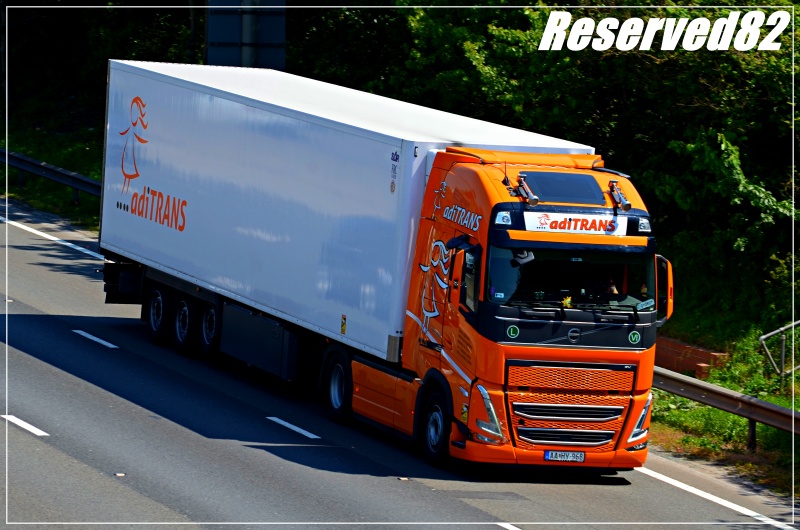 DSC_1724.JPG Adi trans.JPG