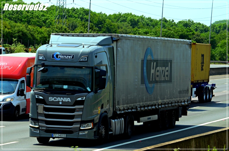 DSC_5156.JPG Henzel.JPG