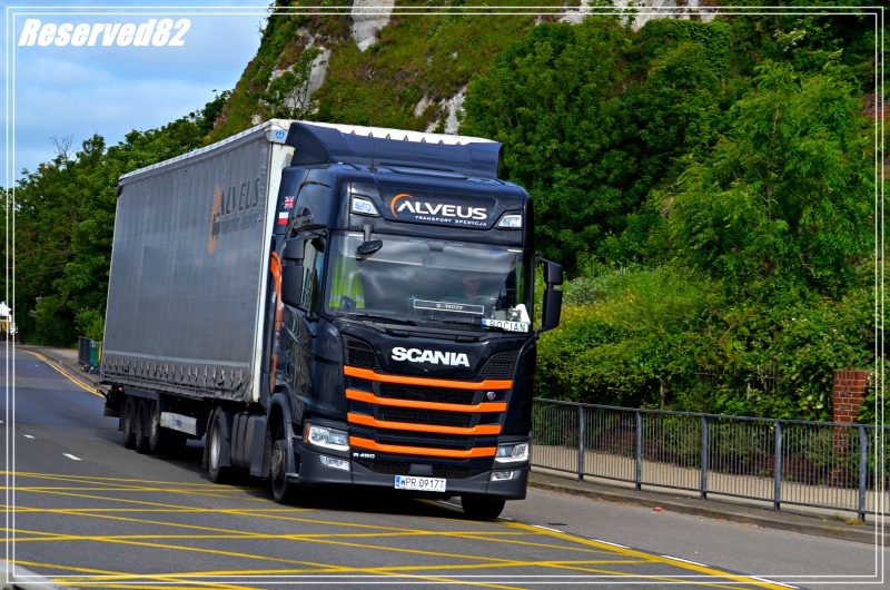 DSC_5754.JPG Alveus.JPG