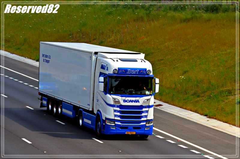 DSC_9392.JPG Bert.JPG