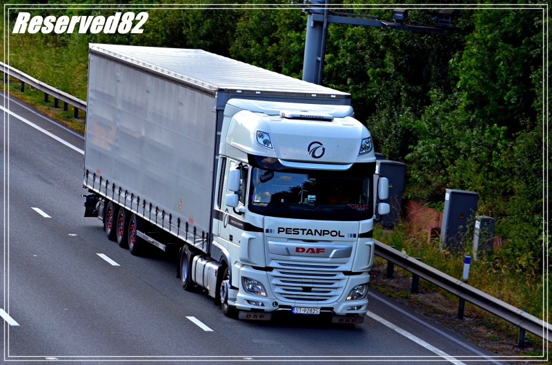 DSC_1902.JPG pestanpol.JPG