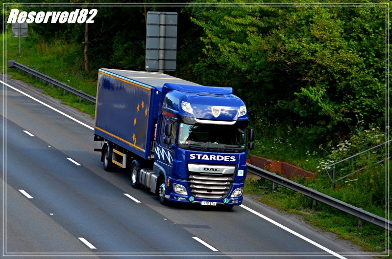 DSC_3087.JPG Stardes.JPG