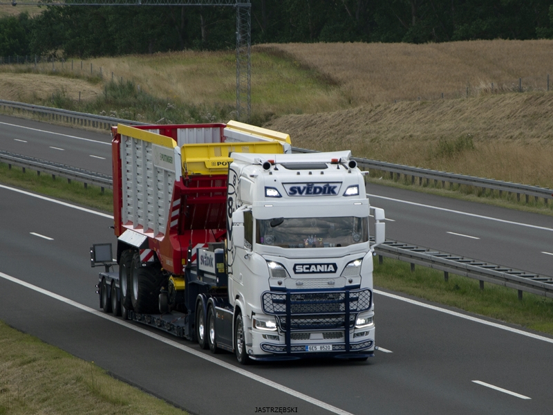 DSC_0241kopia kopia tf.jpg