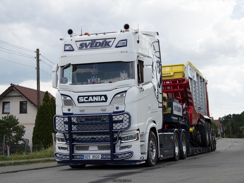 DSC_0264kopia tf.jpg