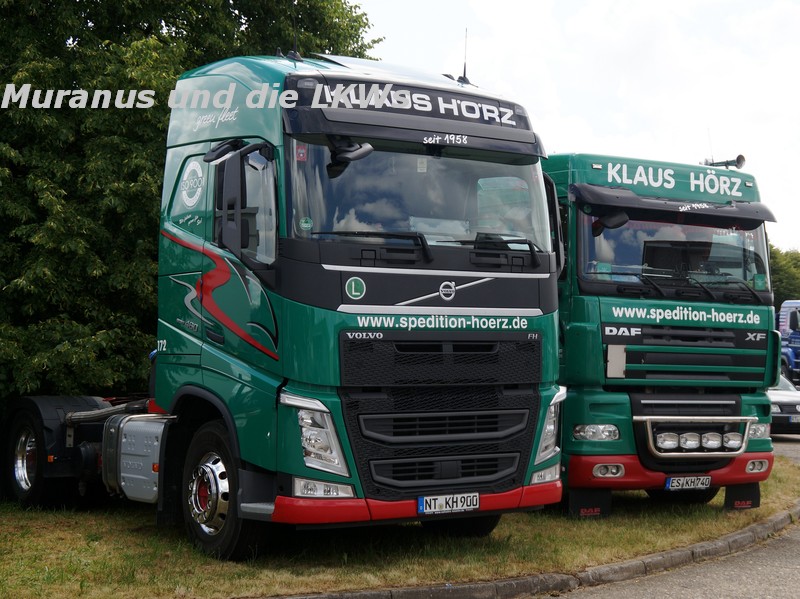 084_Volvo-FH-460-Hörz_20160724_001.JPG