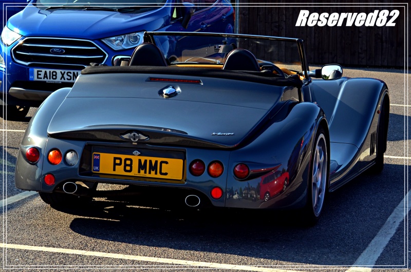 DSC_4253.JPG Morgan.JPG