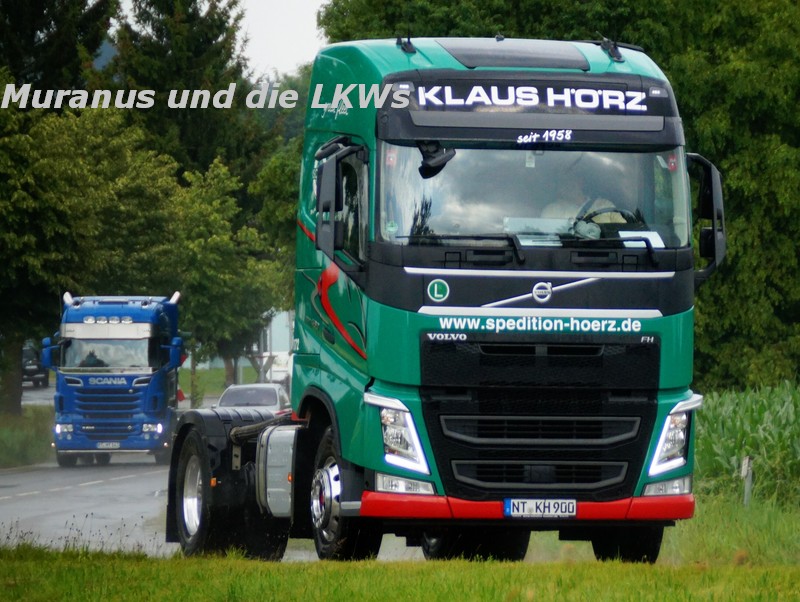097_Volvo-FH-460-Hörz_20160724_003.JPG