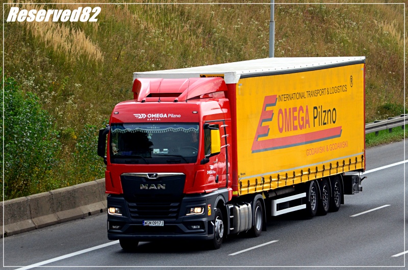 DSC_1562.JPG Omega2.JPG