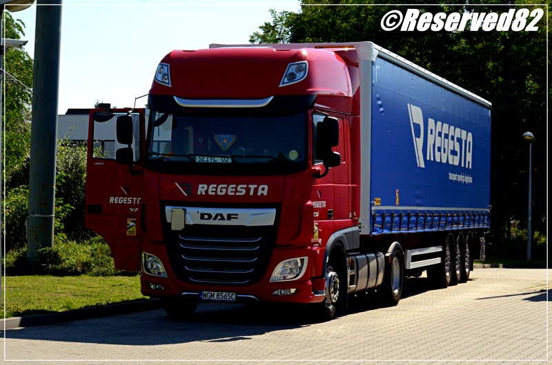 DSC_8387.JPG Regesta.JPG