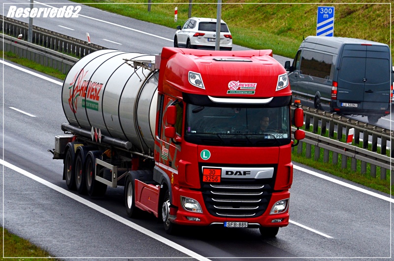 DSC_4404.JPG Revesz.JPG