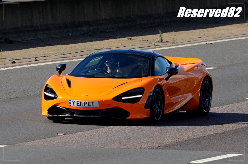 DSC_7388.JPG Pet.JPG