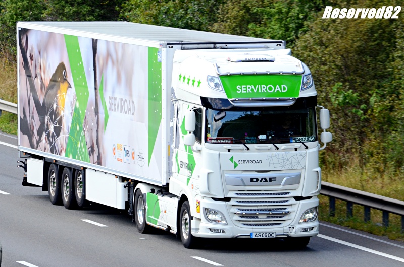 DSC_5658.JPG Serviroad.JPG