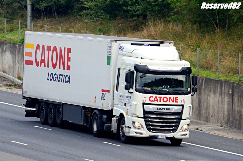 DSC_6940.JPG Catone.JPG