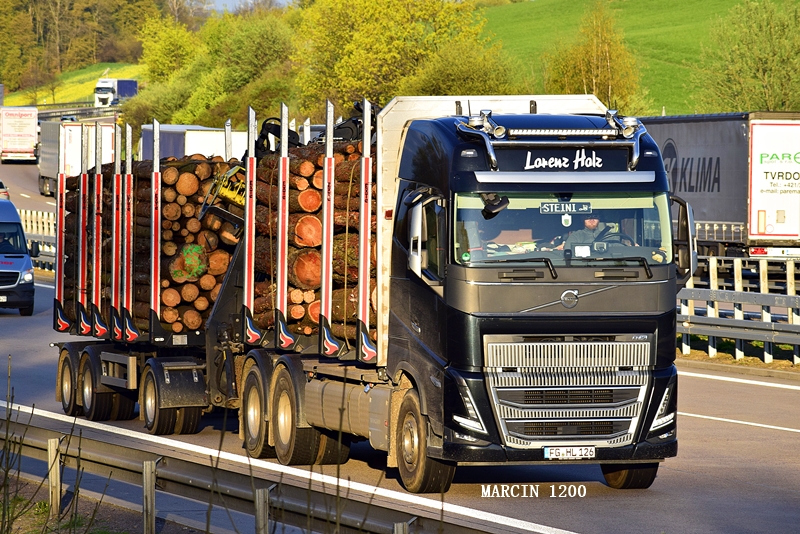 _DSC2584-crop-Lorenz Holz-Volvo FH V Globetrotter XL.JPG