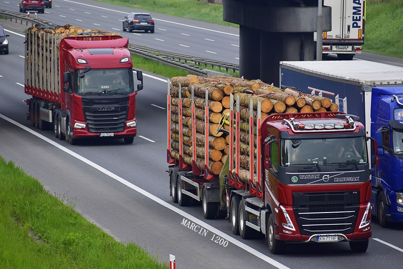 _DSC4330-crop-Tartak Hanusiak.JPG