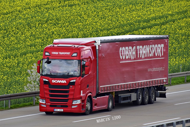 _DSC1892-crop-Cobra Transport.JPG