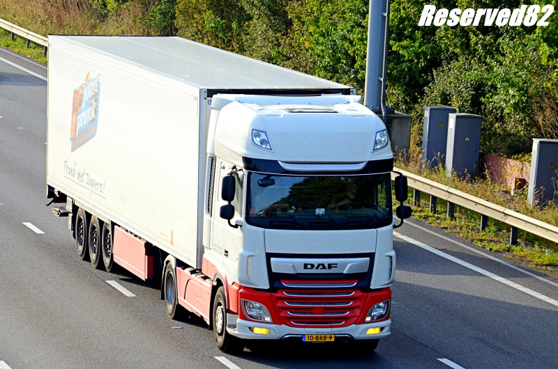 DSC_2987.JPG Pronk.JPG