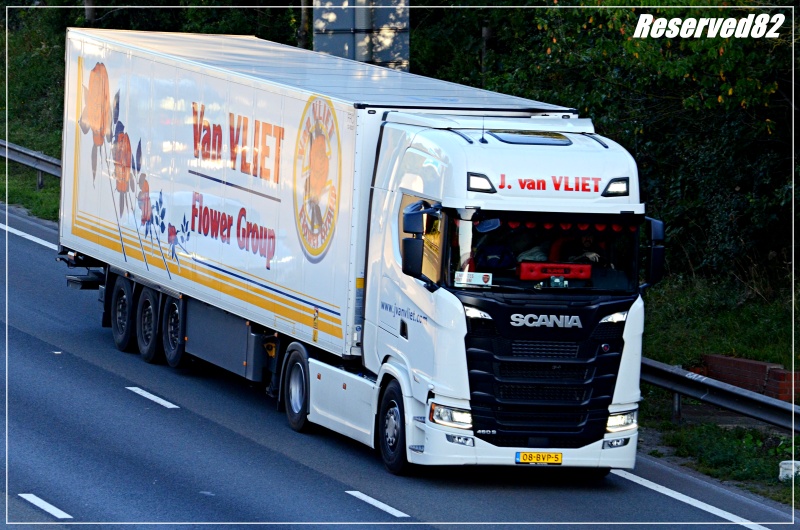 DSC_0633.JPG Van Veiet.JPG