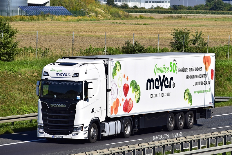 _DSC6474-crop-Scania S NG-Jarzyny Meyer.JPG