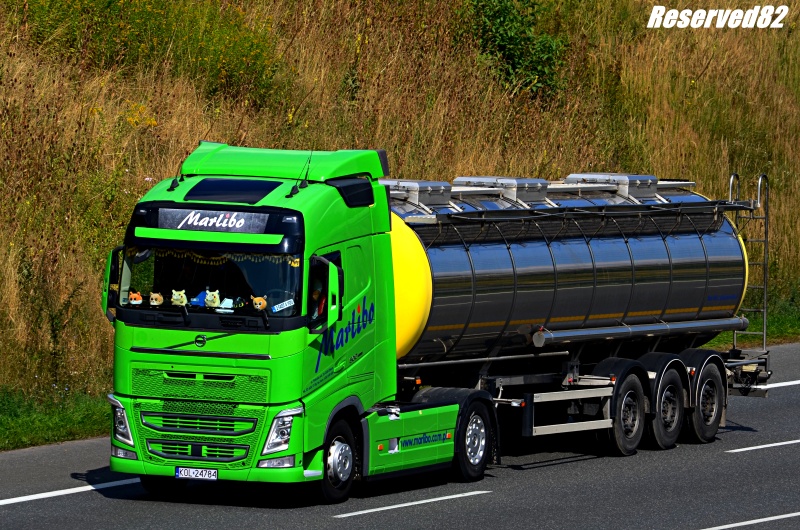 DSC_6260.JPG Marlibo.JPG