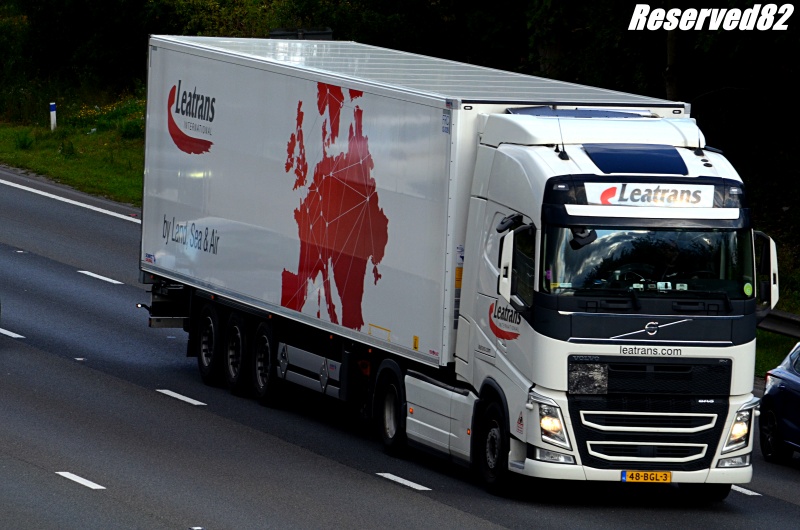 DSC_3467.JPG Leatrans.JPG