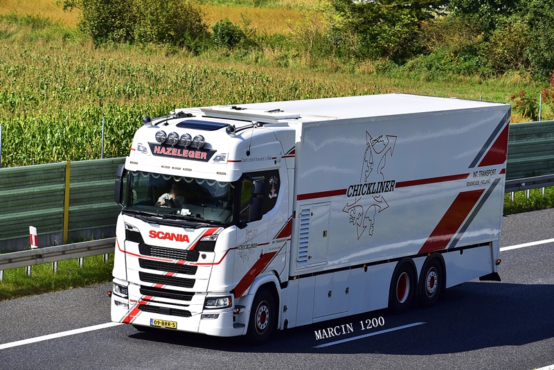 _DSC6619-crop-Chickliner Int. Transport Hazeleger-Scania S NG.JPG