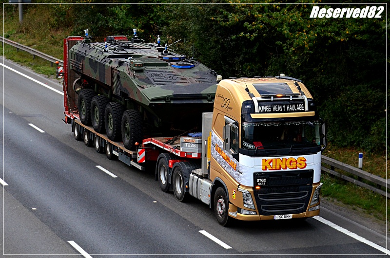 DSC_5193.JPG King.JPG