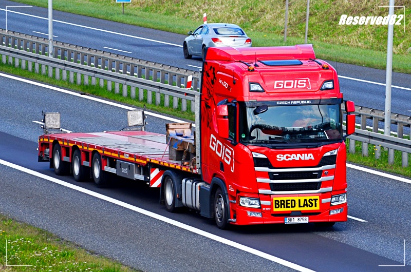 DSC_5660.JPG Gois.JPG