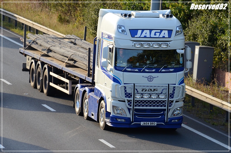 DSC_8916.JPG Jaga.JPG